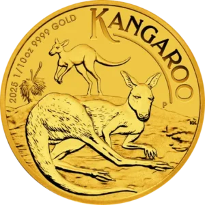 kangaroo